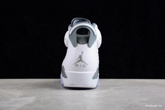 CT8529-100 Grey Cool CT8529-100 Jordan Retro 6 0309